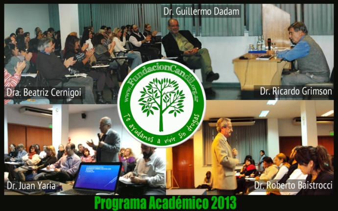 ProgramaAcademico2013